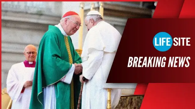 Vatican preparing document for couples living in ‘new unions’