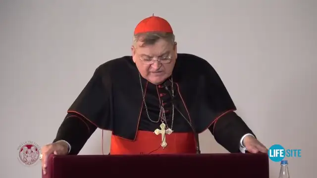 Cardinal Burke: We must ‘resist’ false teaching on marriage and the sacraments