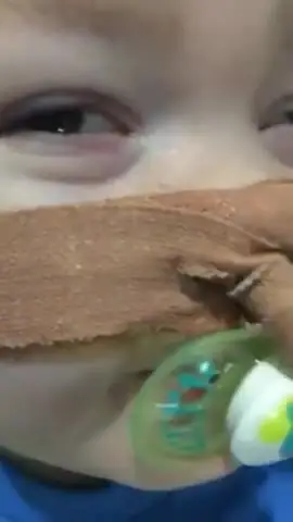 Alfie Evans, execution day - April 23, 2018