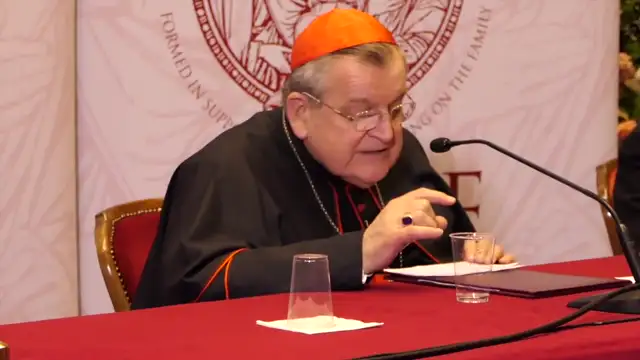 Cardinal Burke, Mgr. Melina, Archbishop Vigano, Q&A Rome Life Forum, May 2018