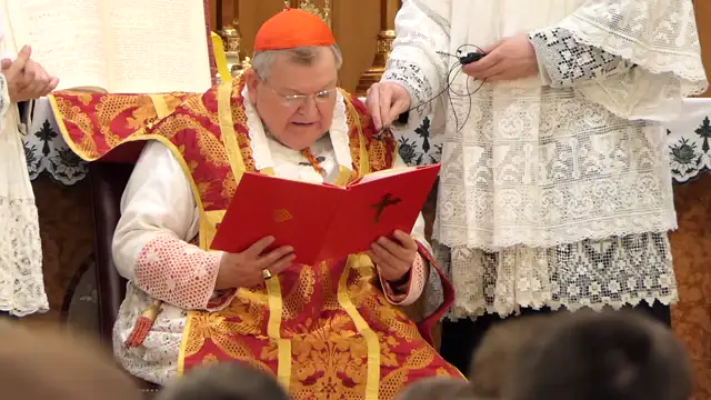 Cardinal Burke at March for Life - “We must never give way to discouragement”