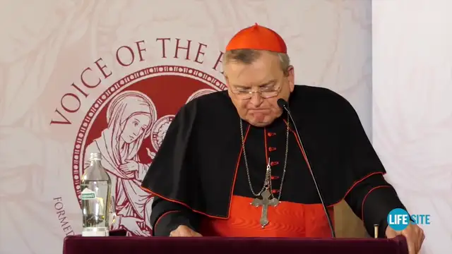 Fatima foretold ‘diabolical forces’ that would enter Church