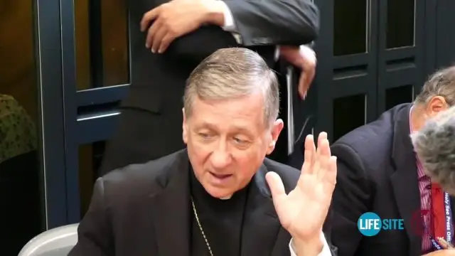 Archbishop Cupich - Kasper's proposal ''very rich theologically''