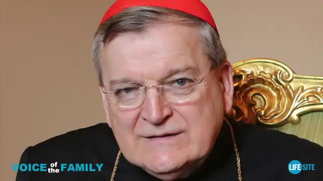 Cardinal Burke – It is scandal to present homosexual uncle’s relationship to kids