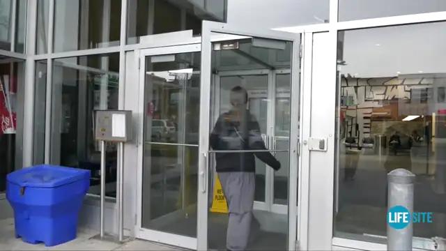 Mary Wagner arrest - Dec. 12, 2015