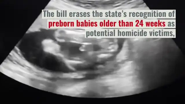 New York celebrates legalizing abortion until birth by lighting One World Trade Center pink