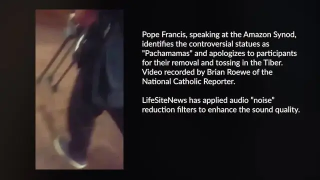 Pope calls statues ‘Pachamamas’ and apologizes for their removal from church