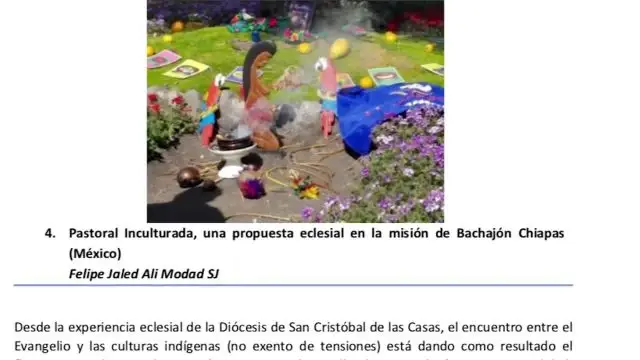 Poster for Amazon Synod in Rome shows woman breast-feeding a weasel