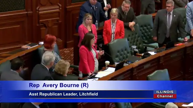 Pregnant politician gives emotional speech against Illinois' radical new abortion law