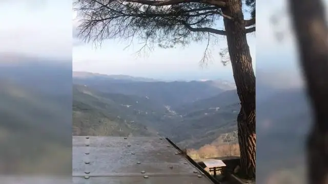Priest bravely processes with Eucharist to bless coronavirus-stricken Italy