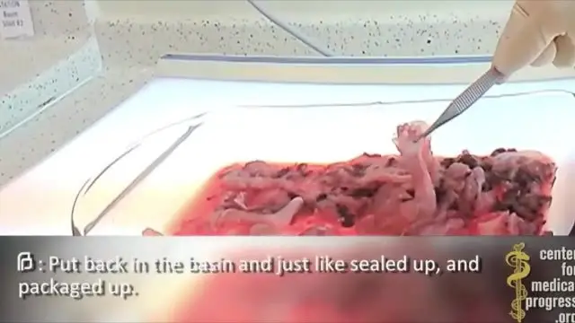 Pro-abort Kamala Harris on guns - ‘We cannot tolerate...when our babies are being slaughtered’