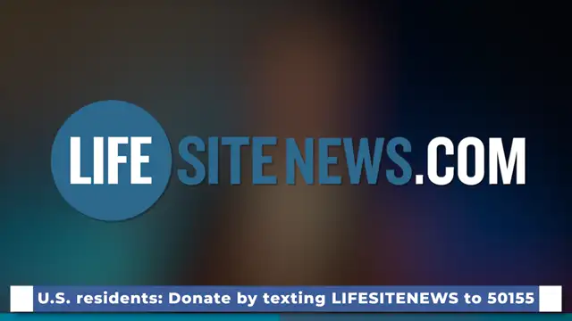 Spring Campaign Wade 2026